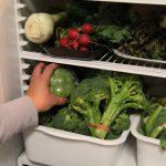 Gros plan sur l'intérieur d'un frigo rempli de légumes