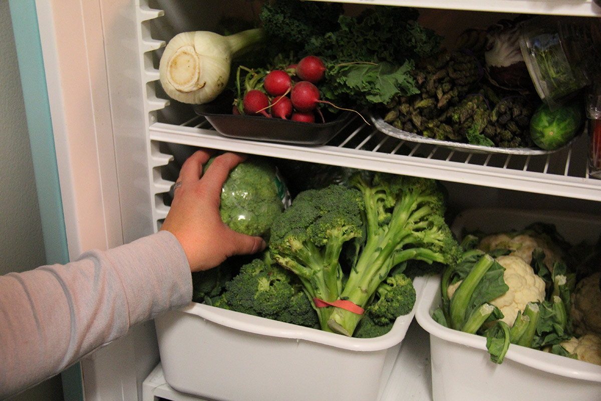 Gros plan sur l'intérieur d'un frigo rempli de légumes