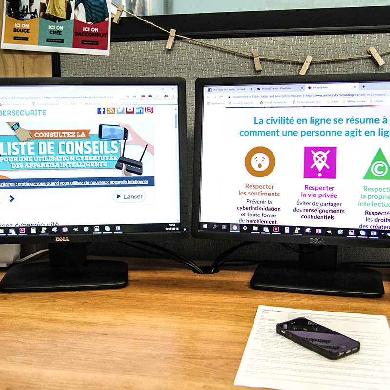 Vu de deux écrans d'ordinateur où sont présentés des élément du Plan d'action numérique