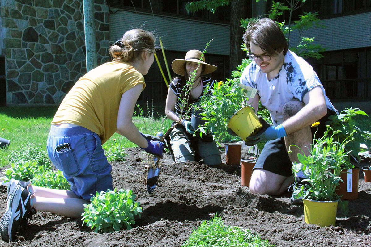 Trois étudiants agenouillés plantent des végétaux