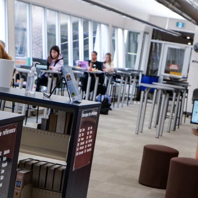 Photo d'étudiants et employés qui travaillent à la bibliothèque