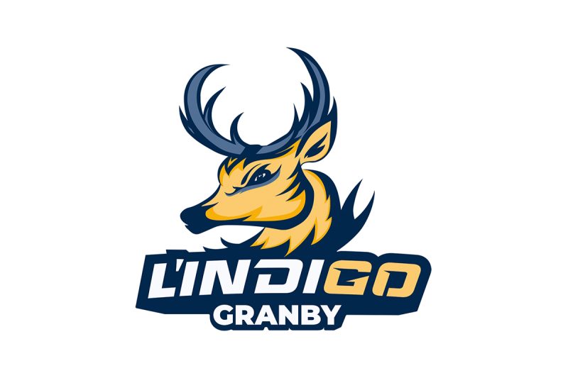 Logo des équipes sportives L'Indigo (une tête de cerf)