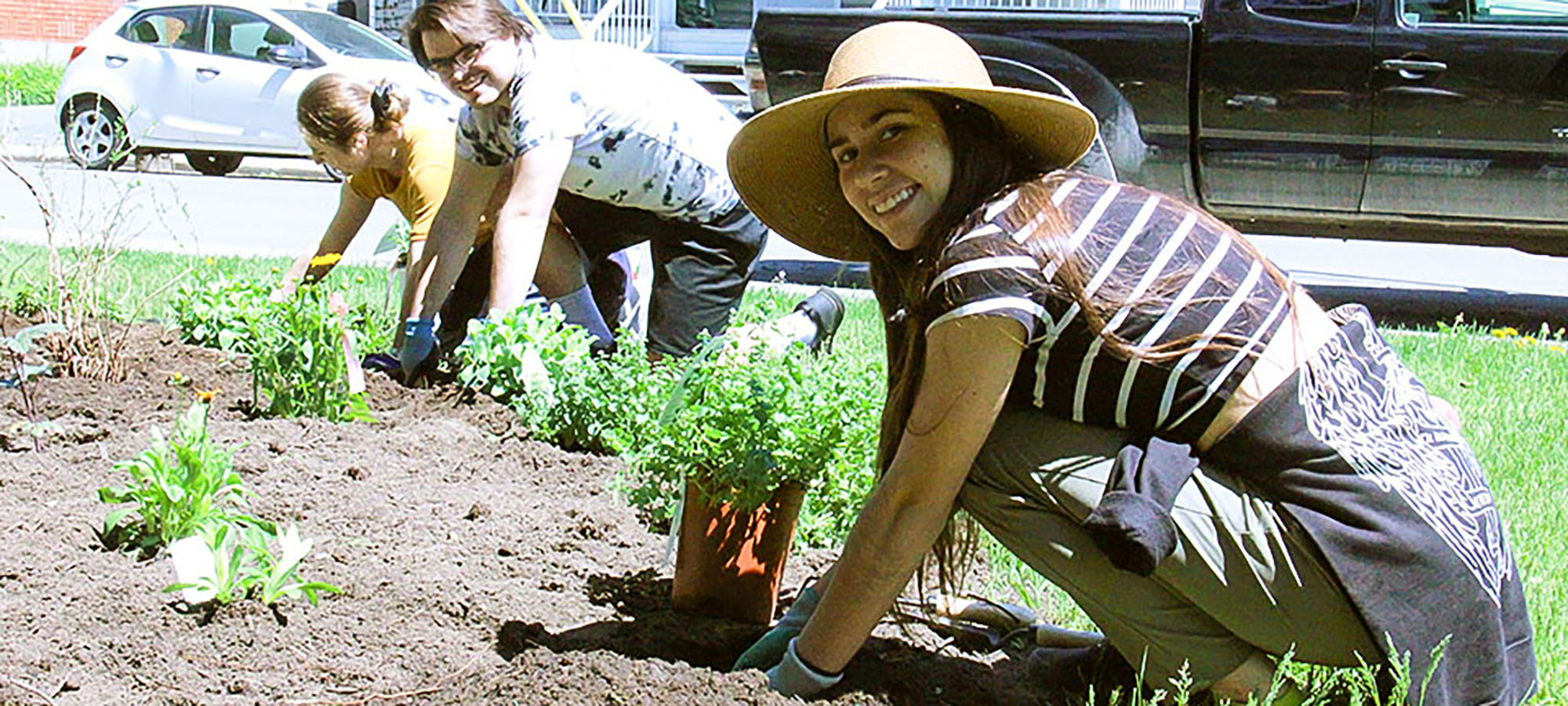Trois étudiants plantent des végétaux dans l'ilot de la biodiversité