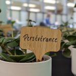 "Persévérance" écrit sur des étiquettes de bois placées dans des pots de végétaux