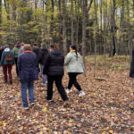 Un groupe de personnes marchent dans un boisé à l'automne.