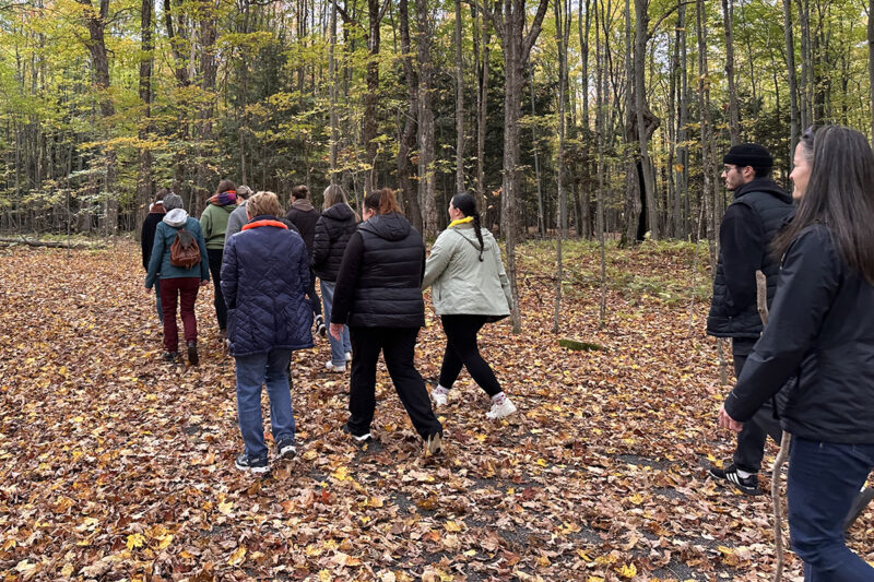 Un groupe de personnes marchent dans un boisé à l'automne.