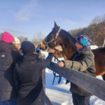 Dehors en hiver, quatre femmes caressent un cheval