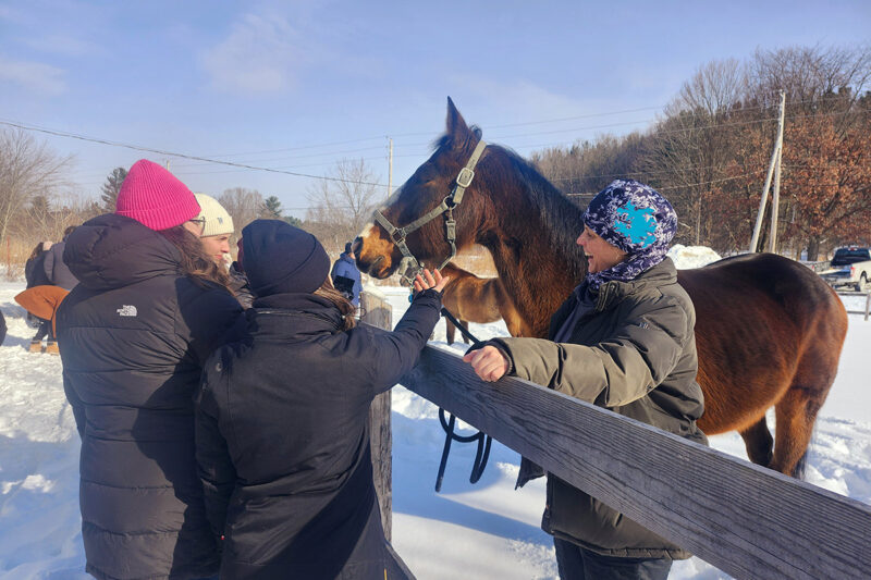 Dehors en hiver, quatre femmes caressent un cheval