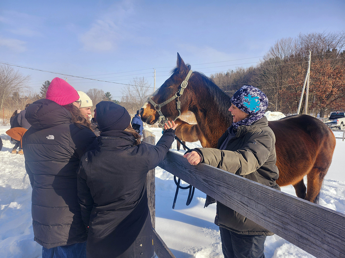 Dehors en hiver, quatre femmes caressent un cheval