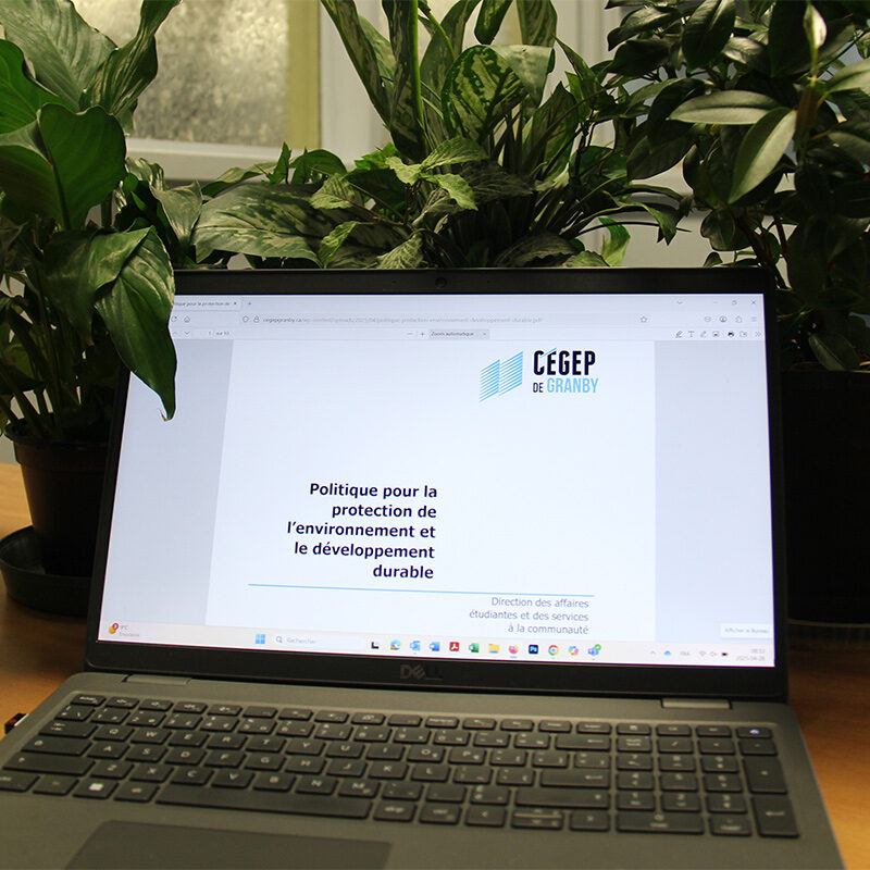 Un écran entouré de plantes affiche : Politique pour la protection de l’environnement et le développement durable
