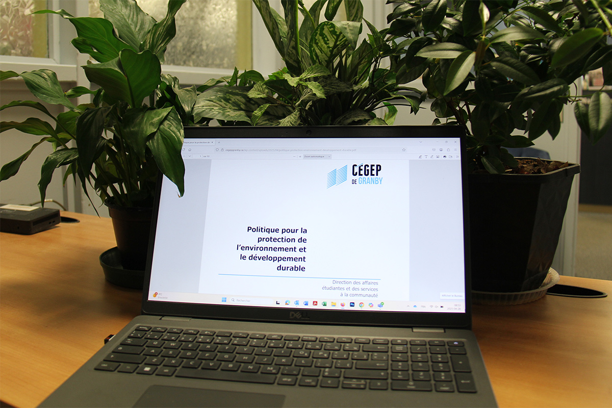 Un écran entouré de plantes affiche : Politique pour la protection de l’environnement et le développement durable