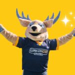 Mascotte avec tête de cerf et tshirt des équipes L'indigo