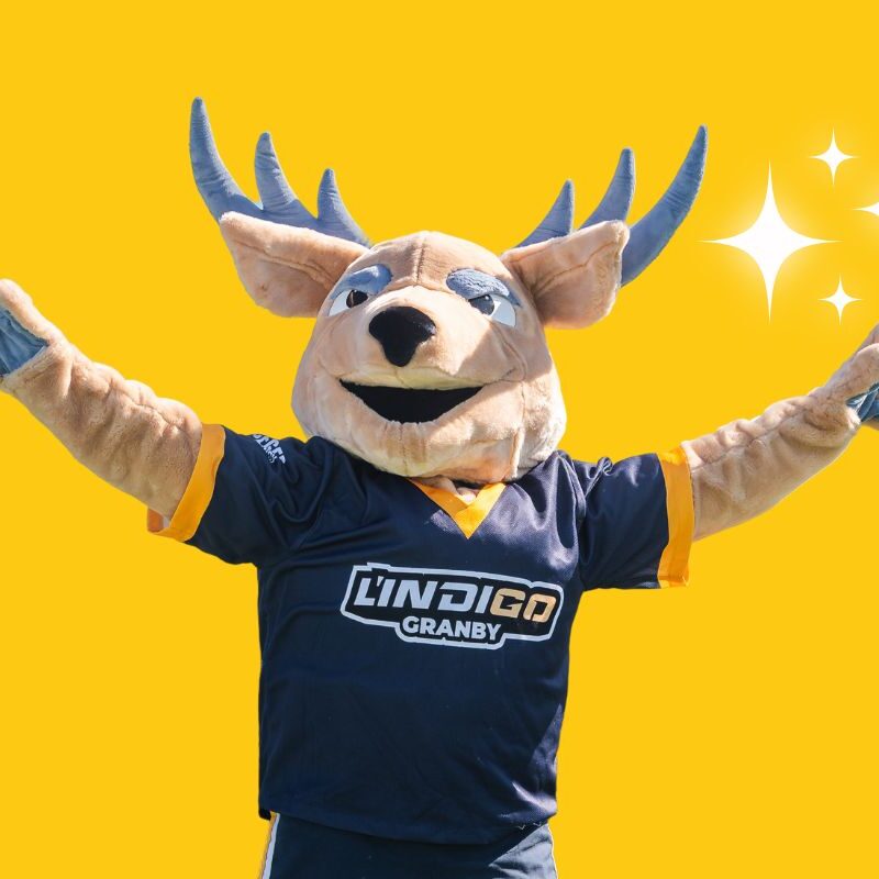 Mascotte avec tête de cerf et tshirt des équipes L'indigo