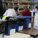 Quatre personnes en sarraus examinent le contenu de bacs de déchets