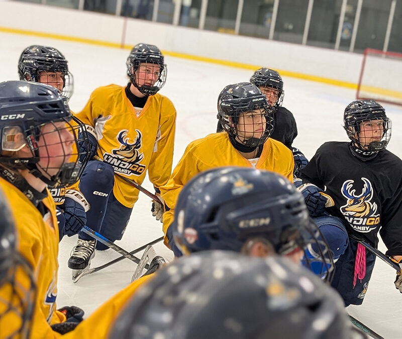 Une équipe de hockey féminin sur la glace